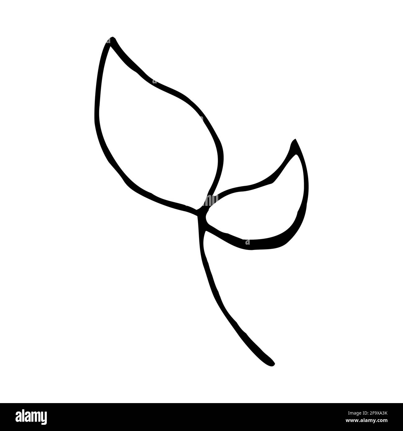 branche vectorielle avec feuilles noires et blanches. Illustration botanique minimaliste, dessin à la main Banque D'Images