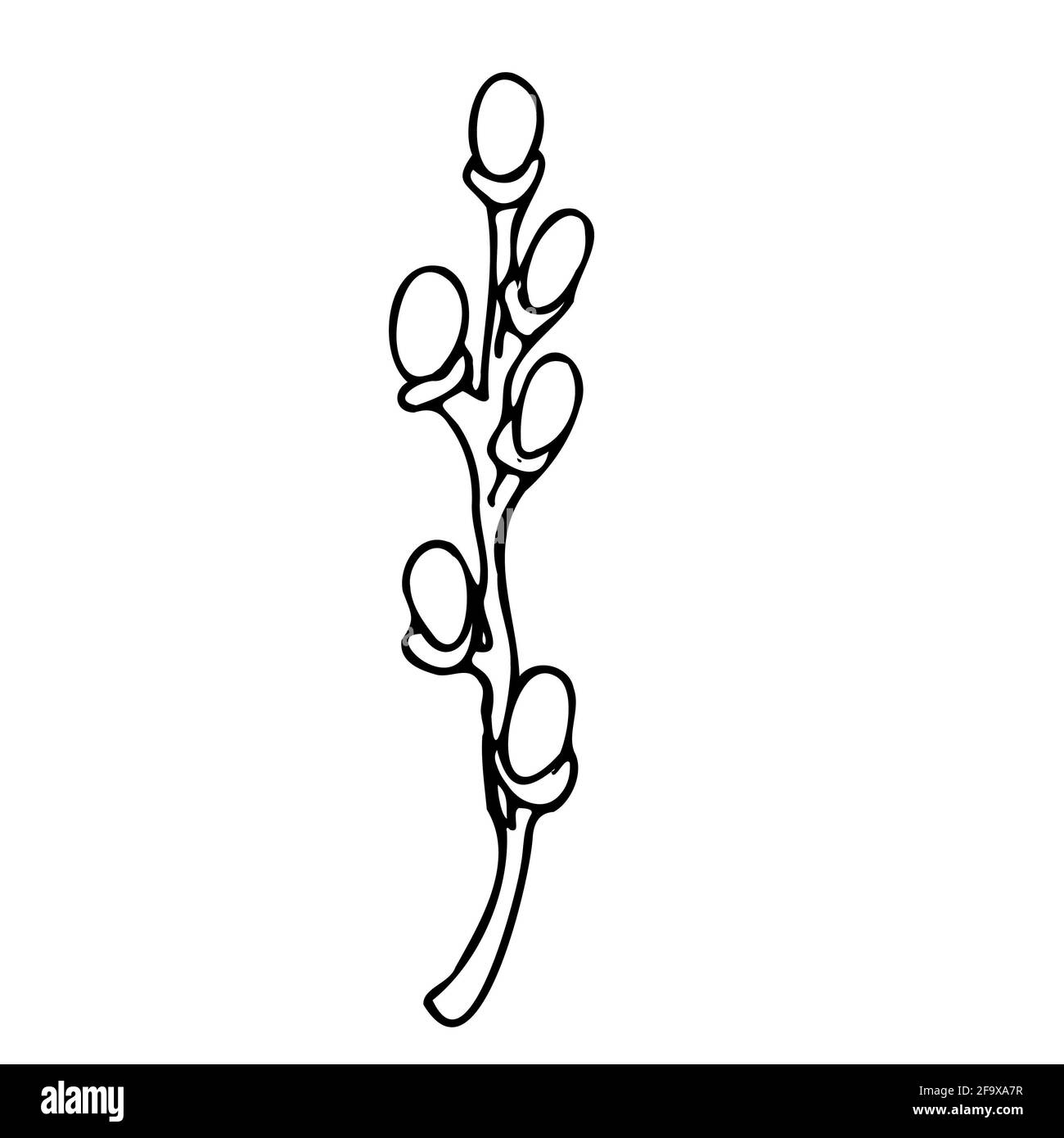 branche vectorielle avec feuilles noires et blanches. Illustration botanique minimaliste, dessin à la main Banque D'Images