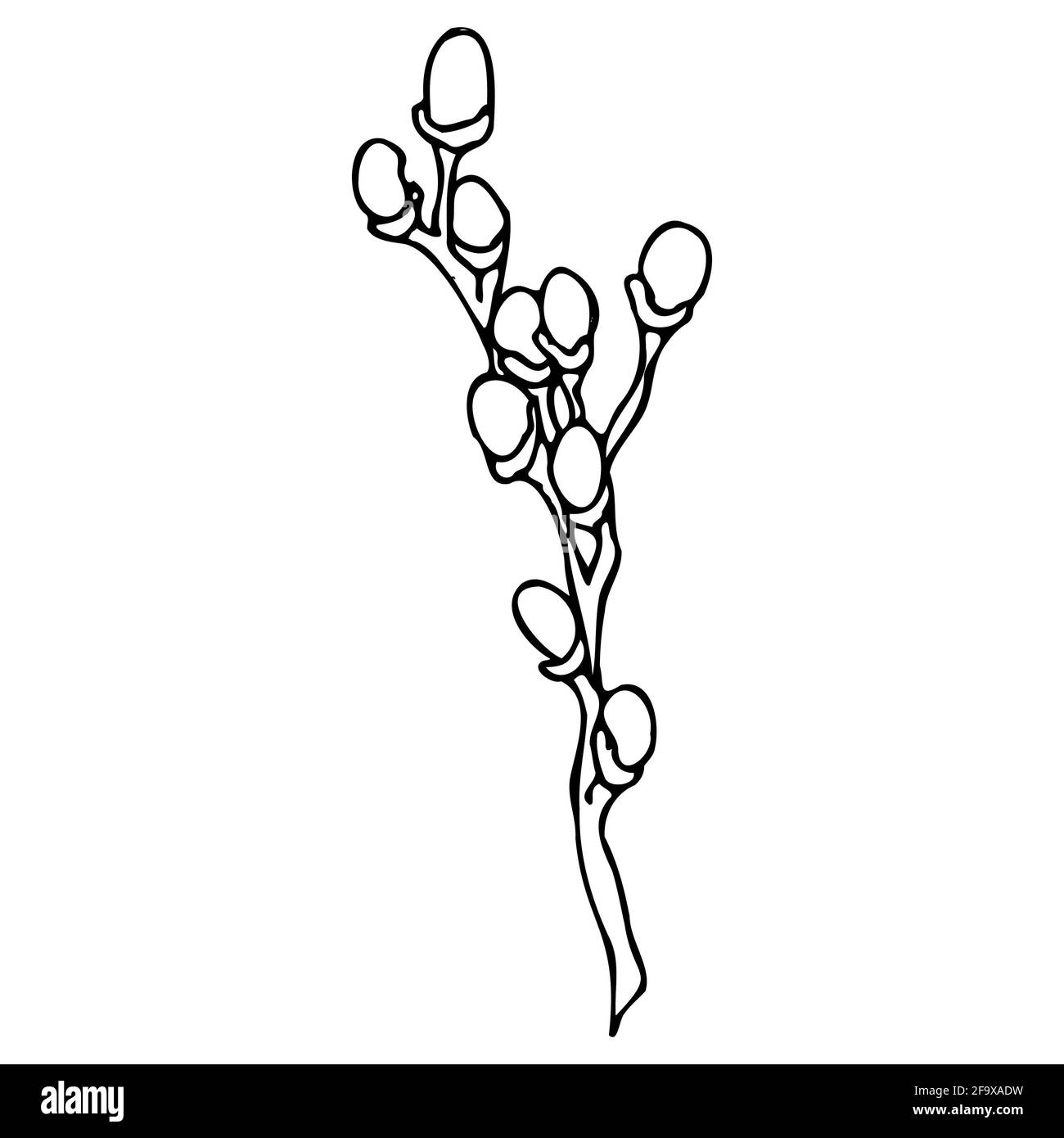 branche vectorielle avec feuilles noires et blanches. Illustration botanique minimaliste, dessin à la main Banque D'Images