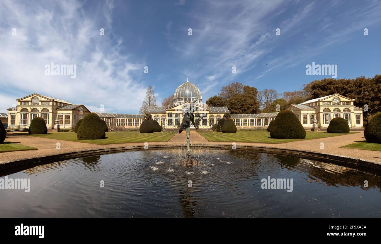 Syon Park, le Grand Conservatoire. Banque D'Images