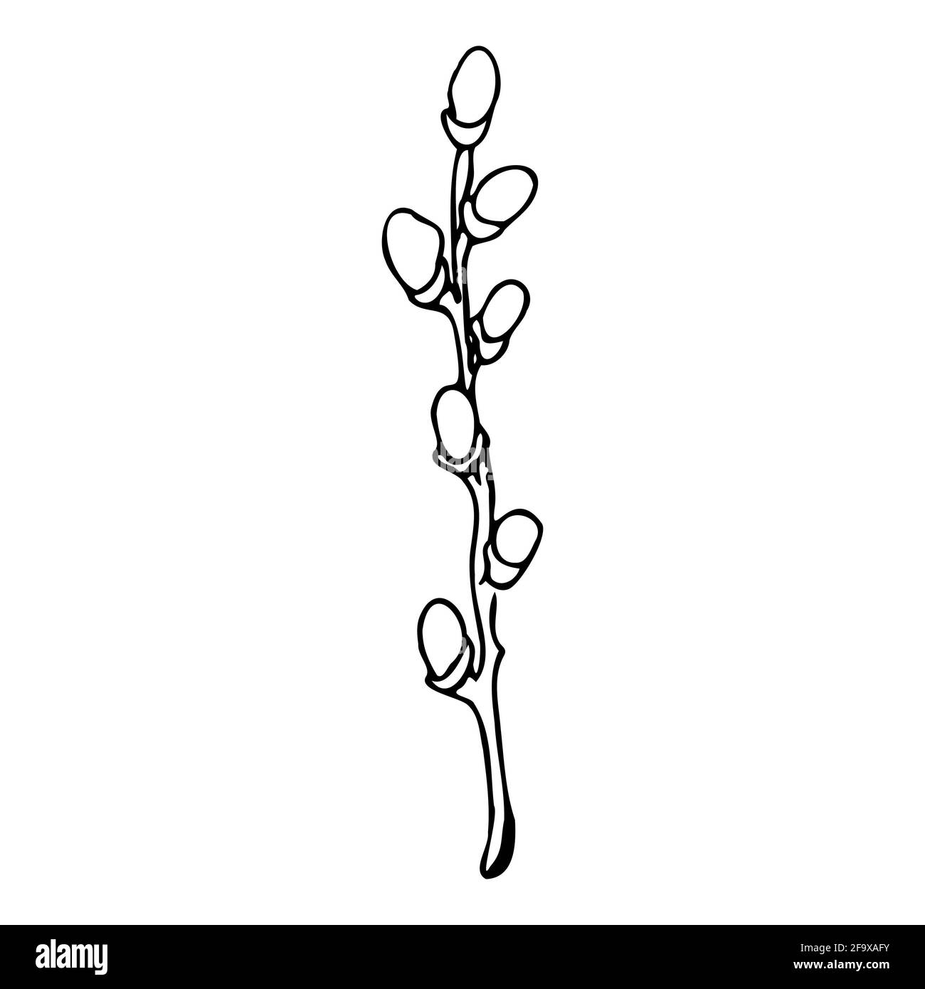 branche vectorielle avec feuilles noires et blanches. Illustration botanique minimaliste, dessin à la main Banque D'Images