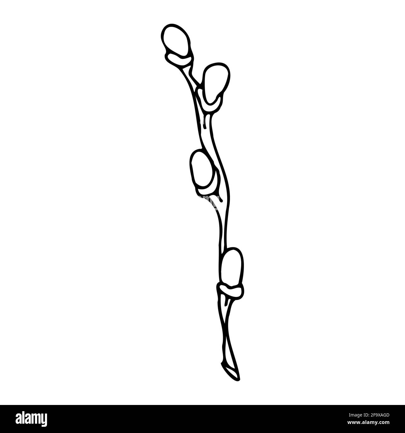 branche vectorielle avec feuilles noires et blanches. Illustration botanique minimaliste, dessin à la main Banque D'Images