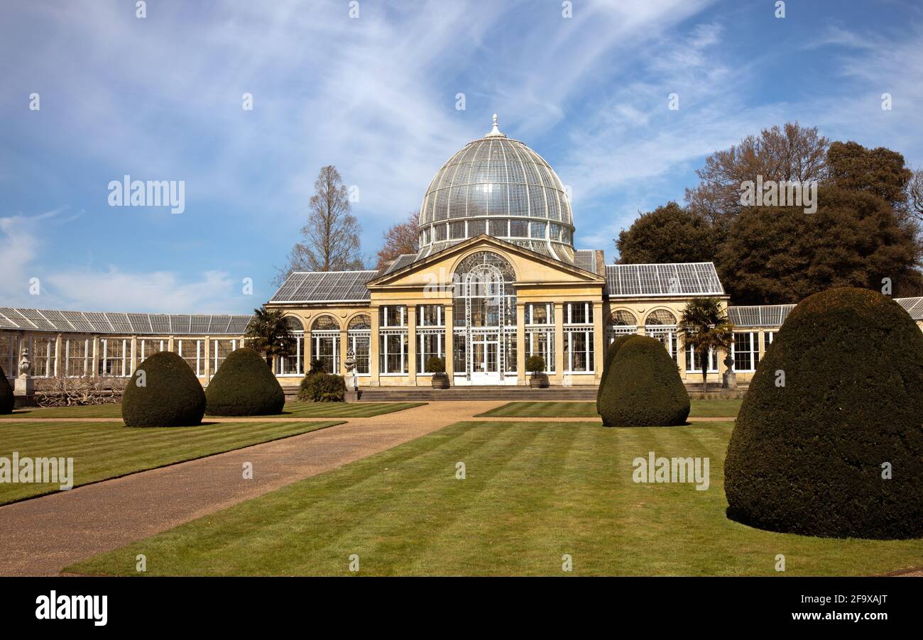 Syon Park, le Grand Conservatoire. Banque D'Images