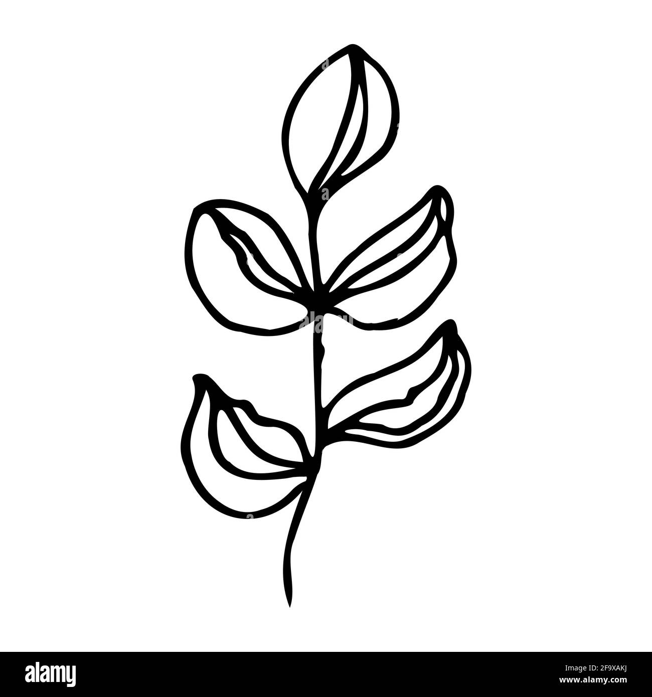 branche vectorielle avec feuilles noires et blanches. Illustration botanique minimaliste, dessin à la main Banque D'Images