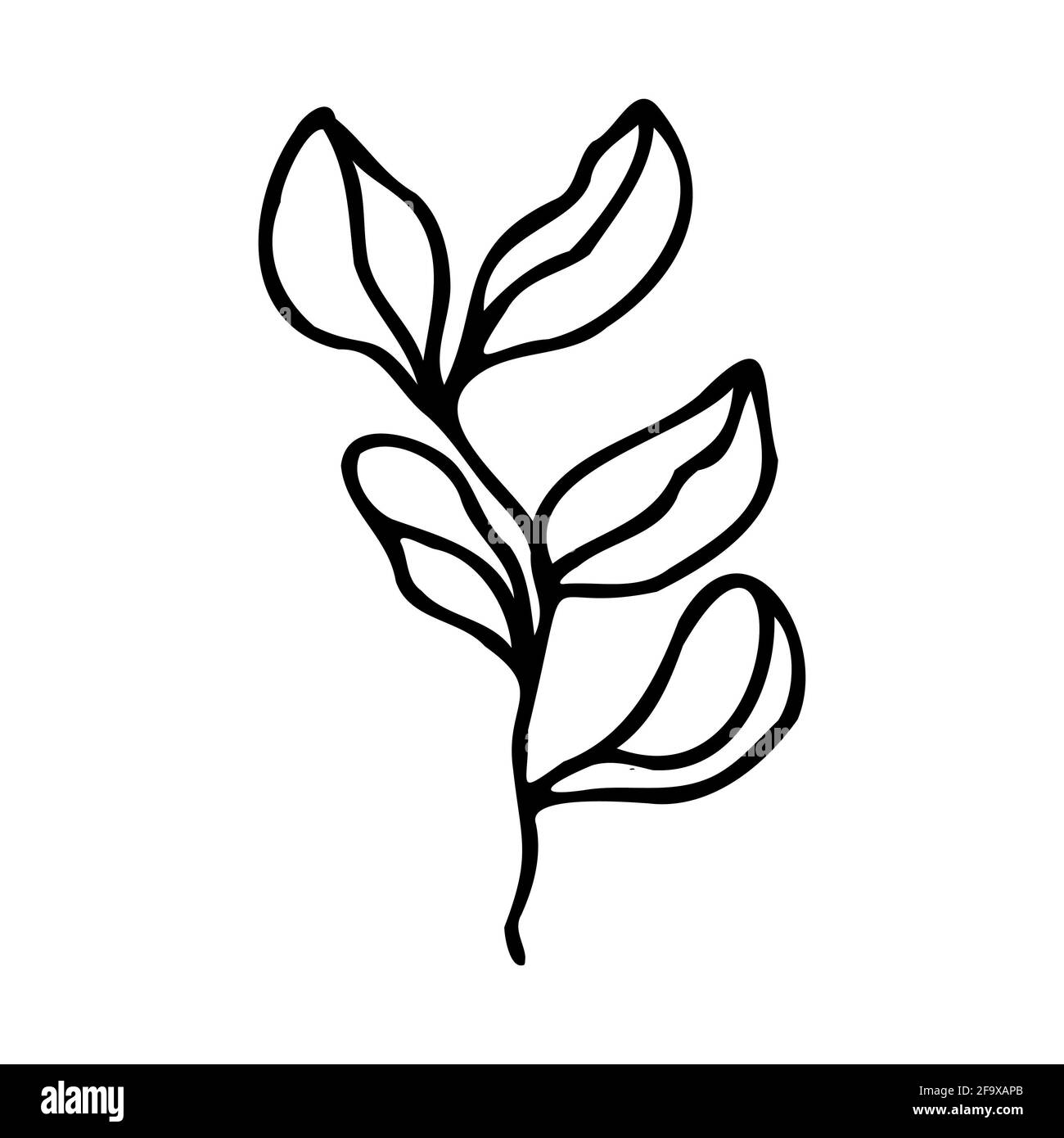 branche vectorielle avec feuilles noires et blanches. Illustration botanique minimaliste, dessin à la main Banque D'Images