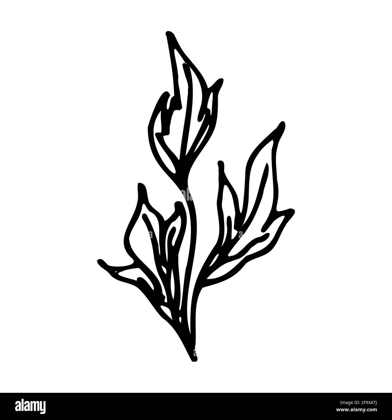 branche vectorielle avec feuilles noires et blanches. Illustration botanique minimaliste, dessin à la main Banque D'Images