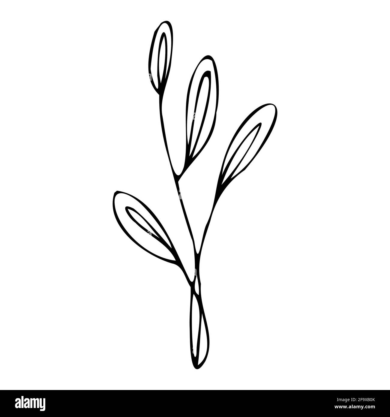 branche vectorielle avec feuilles noires et blanches. Illustration botanique minimaliste, dessin à la main Banque D'Images