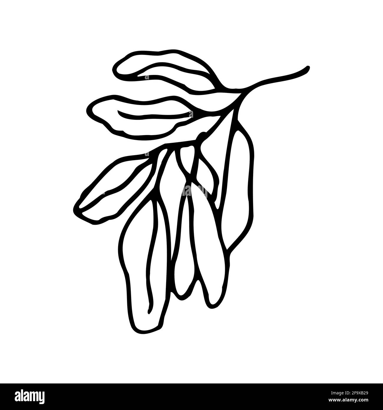 branche vectorielle avec feuilles noires et blanches. Illustration botanique minimaliste, dessin à la main Banque D'Images
