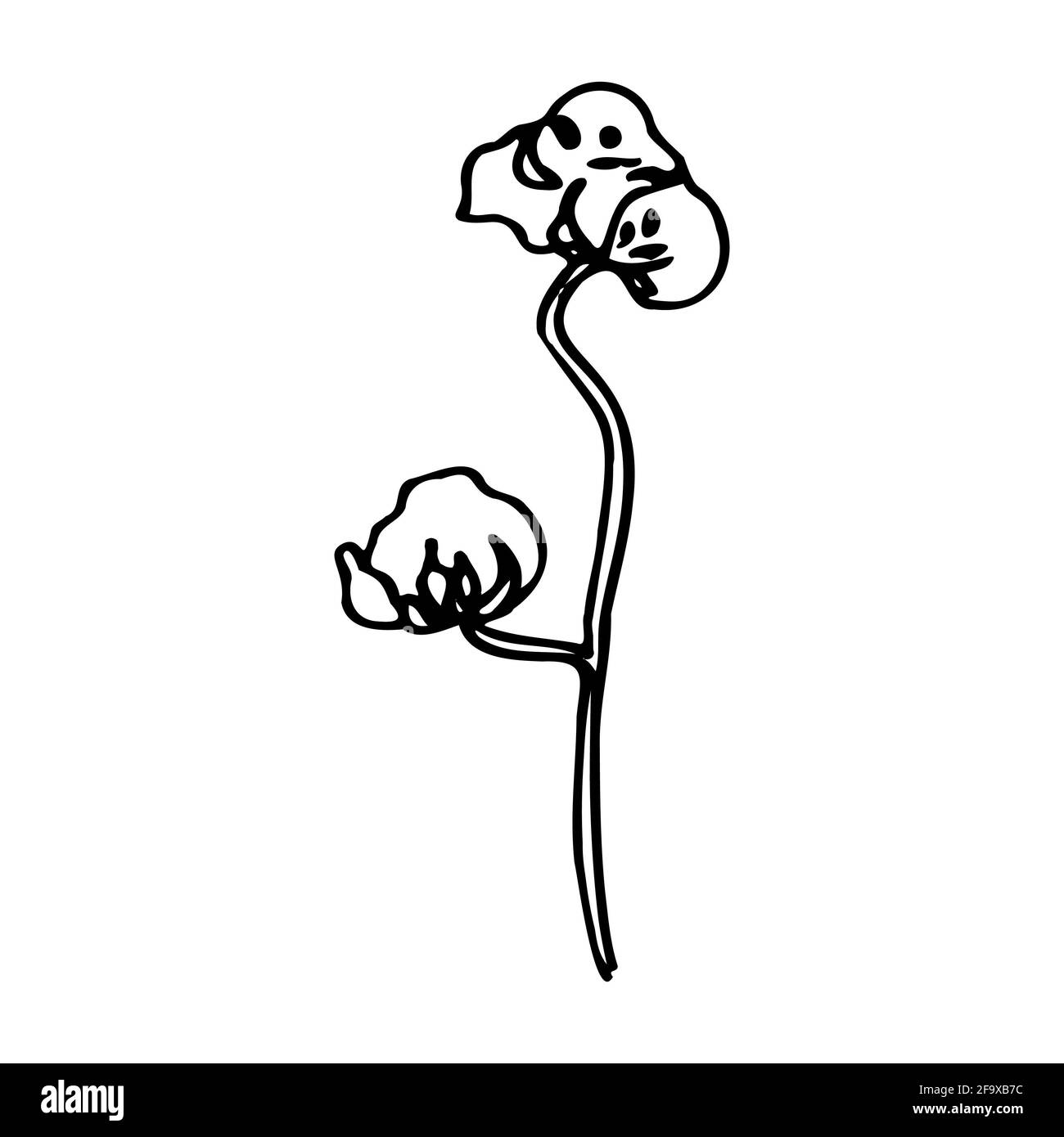 branche vectorielle avec feuilles noires et blanches. Illustration botanique minimaliste, dessin à la main Banque D'Images