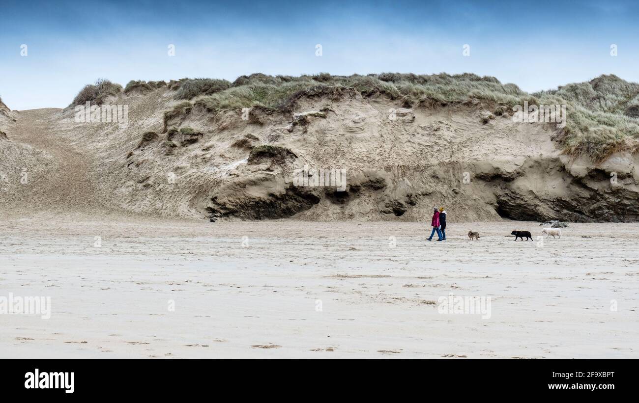 Une image panoramique des randonneurs qui marchent leurs chiens devant le système de dunes de sable de Crantock Beach à Newquay, en Cornouailles. Banque D'Images