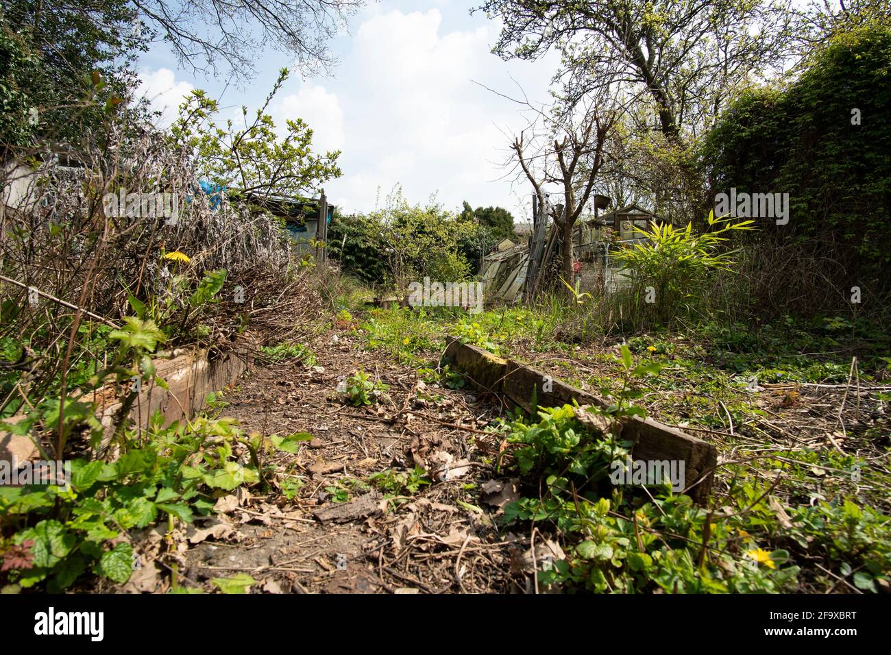 Chemin dans un jardin dégaré Banque D'Images