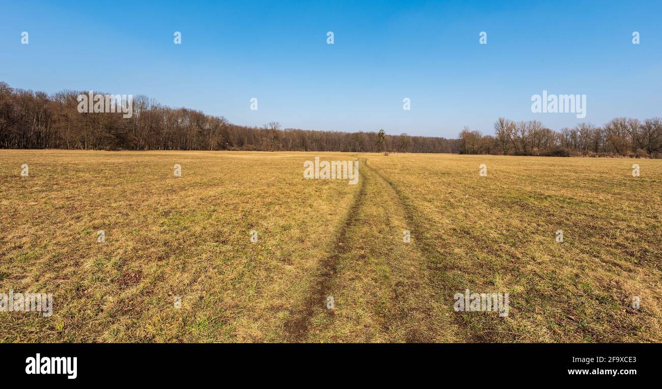 Pré du printemps tôt avec des arbres autour et ciel clair entre Polanka nad Odrou et Kosatka près de la ville d'Ostrava en tchèque république Banque D'Images