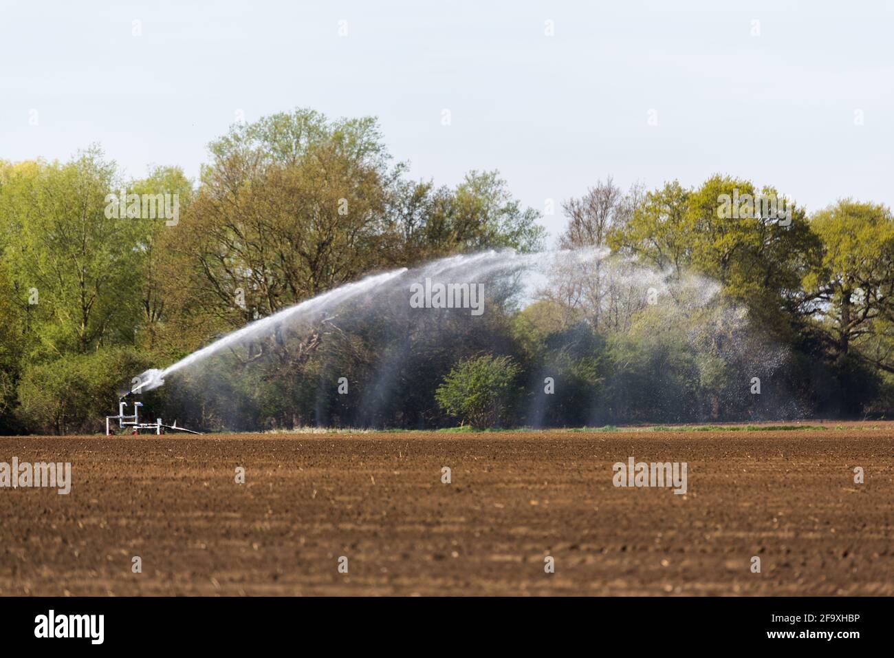Irrigation d'un champ agricole pendant la pandémie de corona. Les agriculteurs travaillent dur pour maintenir les lignes d'approvisionnement alimentaire mondiales ouvertes Banque D'Images