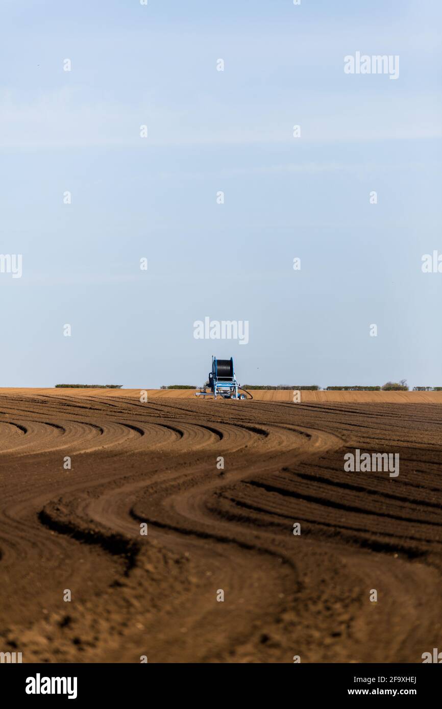 Irrigation d'un champ agricole pendant la pandémie de corona. Les agriculteurs travaillent dur pour maintenir les lignes d'approvisionnement alimentaire mondiales ouvertes Banque D'Images