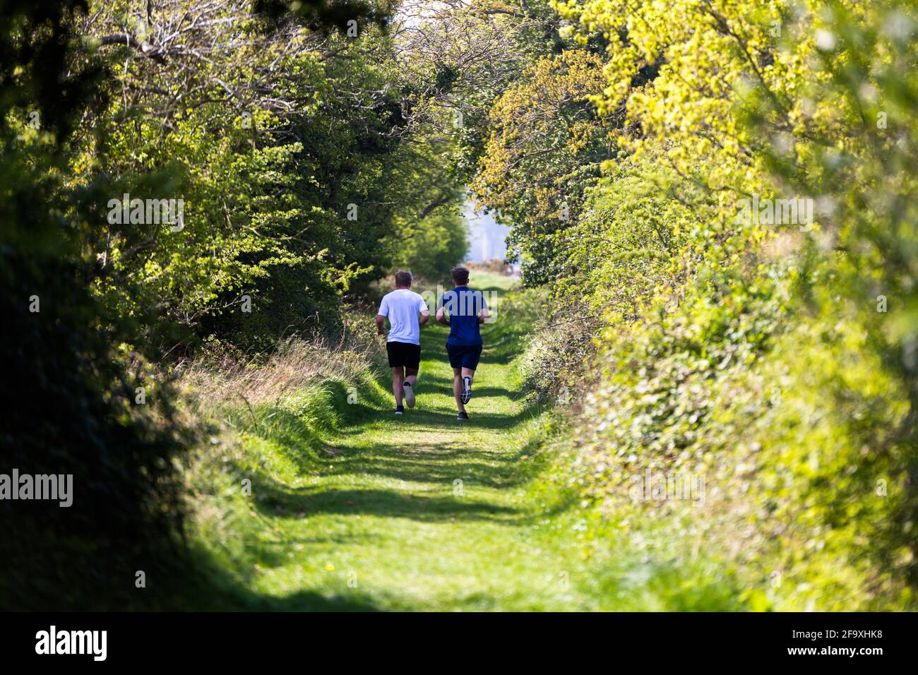 2 mâles inconnus qui jogging dans la campagne pendant l'été. Ils  s'éloignent de la caméra. Exercice, vie saine, concept de style de vie  Photo Stock - Alamy