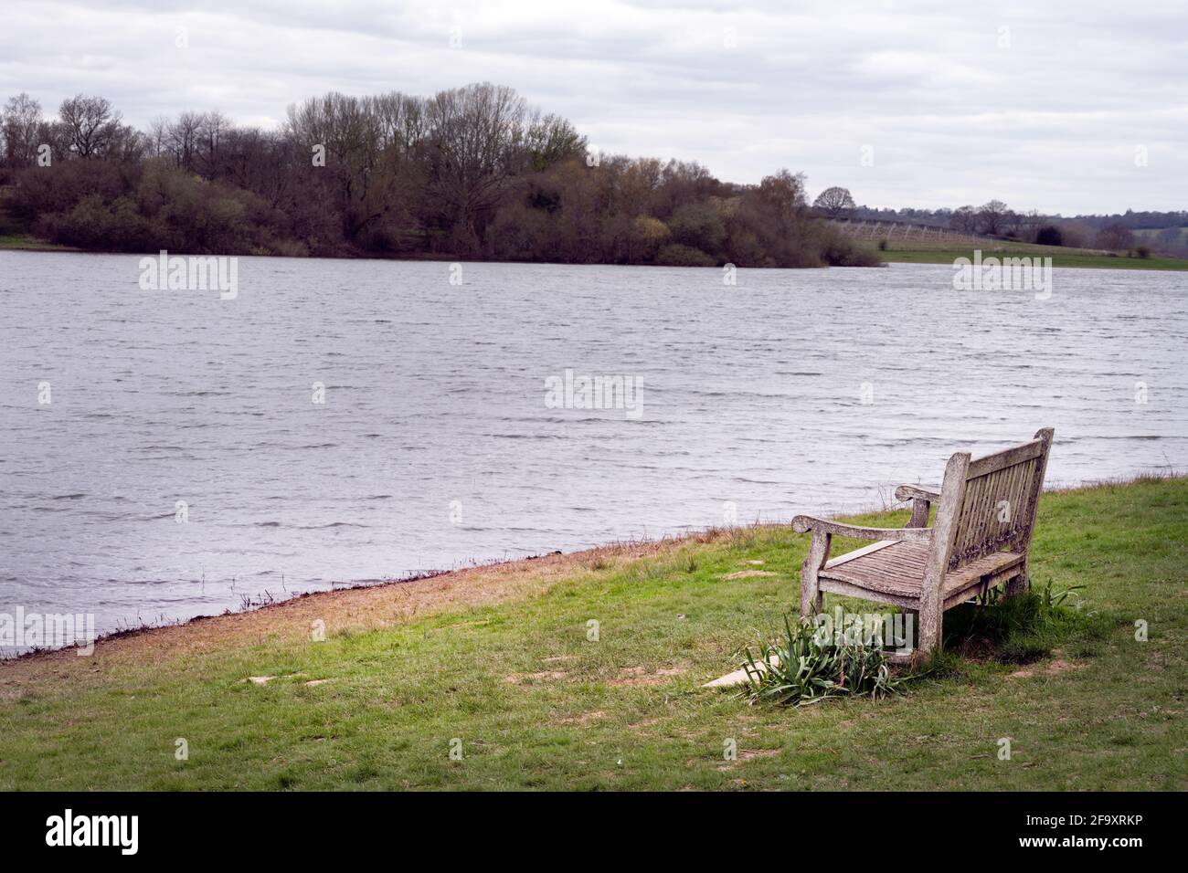 Banc en bois, vide, sur la rive du réservoir d'eau de Bewl, dans le sud-est de l'Angleterre Banque D'Images