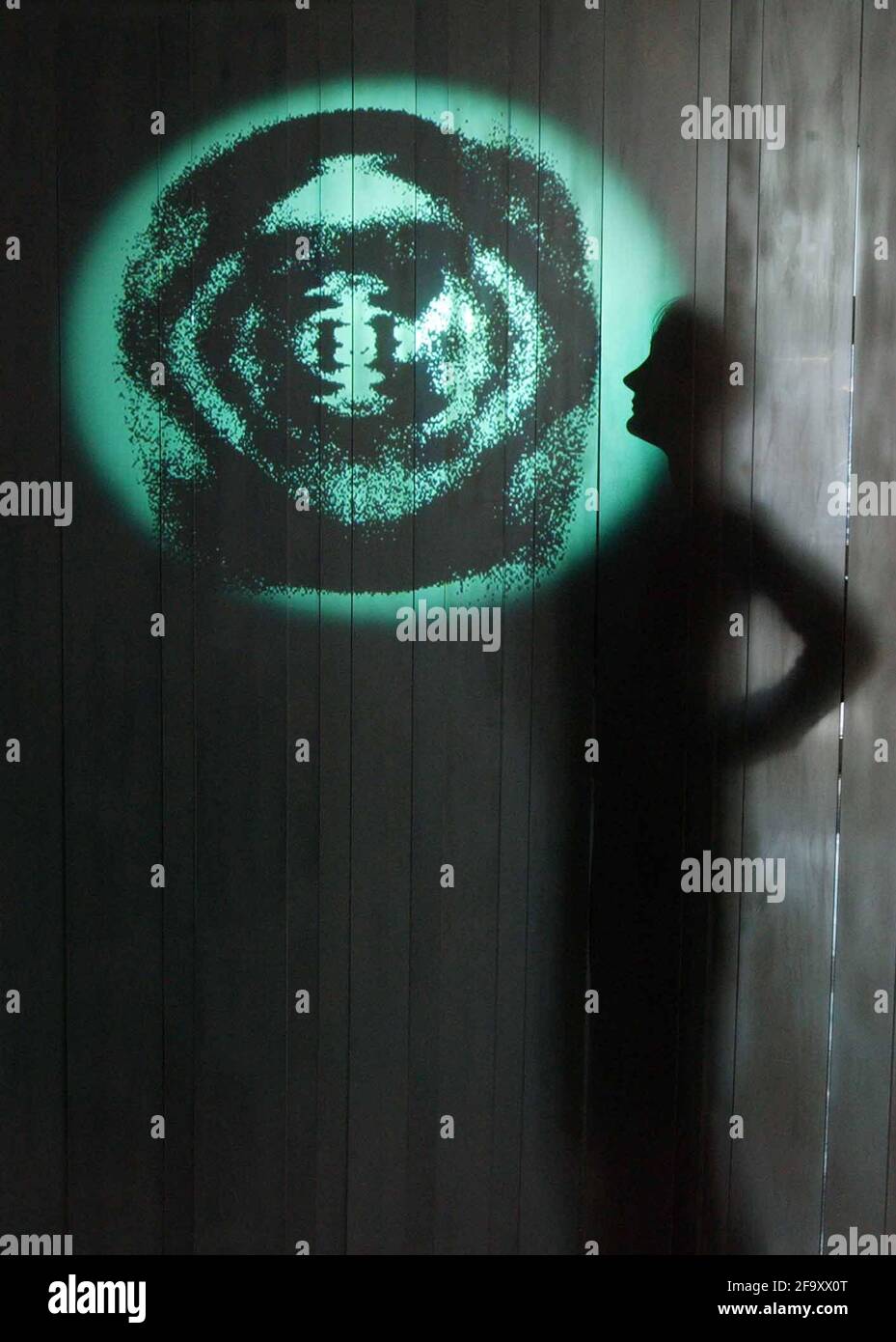 'THE SECRET LIFE'AN ARTWORK DE JESSICA CURRY ET D AN PINCHBECK , FAISANT PARTIE DE L'EXPOSITION 'FOUR PLUS:WRITING DNA' À LA GALERIE TWO TEN À EUSTON RD.LE TRAVAIL UTILISE LA PHOTOGRAPHIE DE DIFFRACTION DES RAYONS X DE ROSALIND FRANKLIN QUI SUGGÉRA LA DOUBLE HÉLICE , PARTIE INTÉGRANTE DE LA DÉCOUVERTE DE LA STRUCTURE DE L'ADN, LE 50ÈME ANNIVERSAIRE DE L'EXPOSITION.4/4/03 PILSTON Banque D'Images