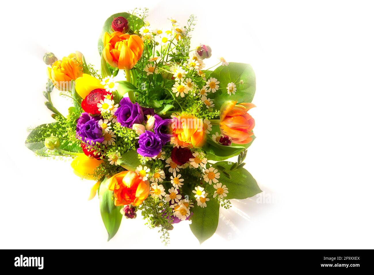 ART FLORAL : fleurs du printemps Banque D'Images