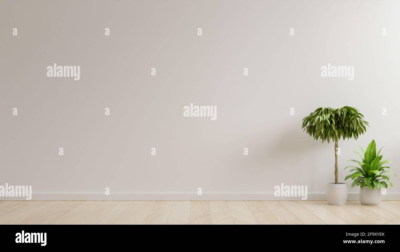 Mur blanc pièce vide avec des plantes sur un sol, rendu 3D Banque D'Images