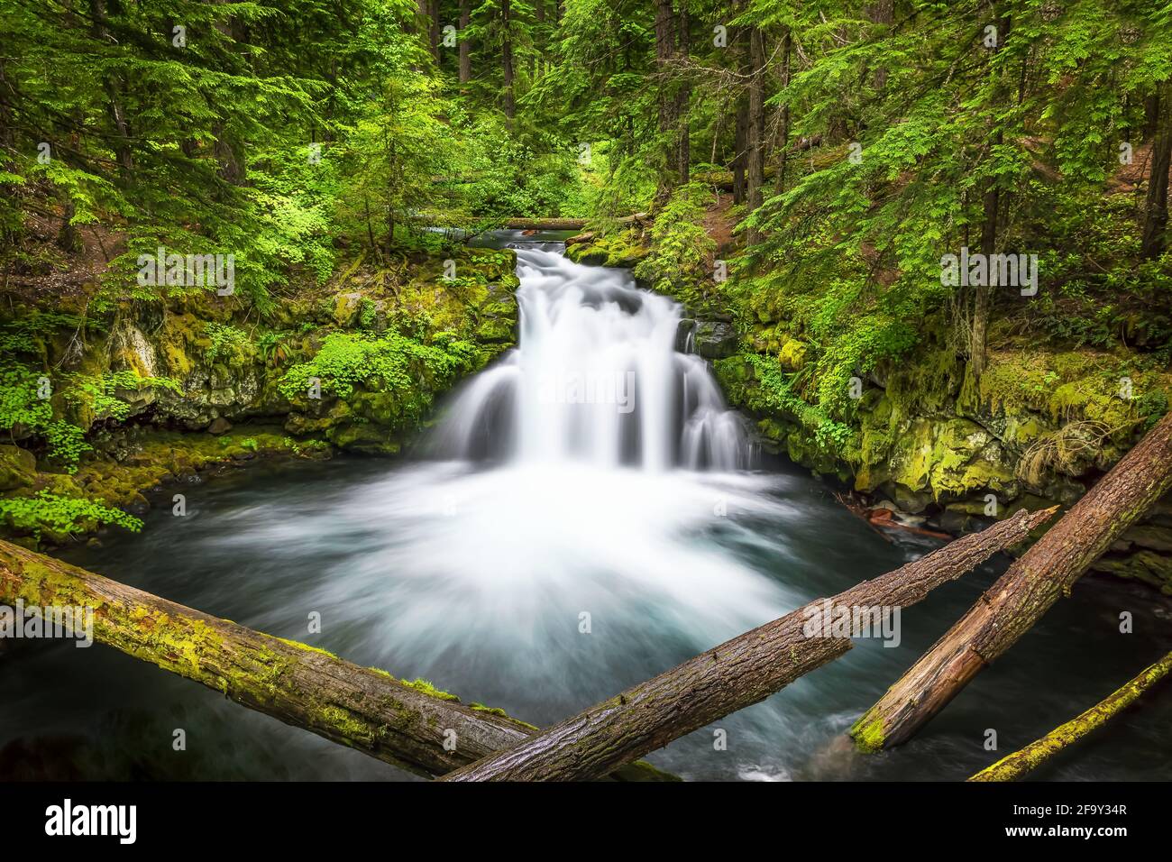 Chutes d'eau de l'Oregon Banque D'Images