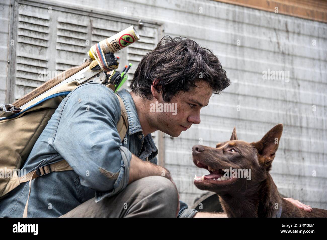 Love and Monsters est un film d'aventure monstre américain réalisé en 2020 par Michael Matthews, avec Shawn Levy et Dan Cohen en tant que producteurs. Les stars de cinéma Dylan O'Brien, Jessica Henwick, Dan Ewing, Michael Rooker et Ariana Greenblatt. Cette photographie est à usage éditorial exclusif et est le droit d'auteur de la compagnie de film et/ou le photographe assigné par la compagnie de film ou de production et ne peut être reproduite que par des publications en conjonction avec la promotion du film ci-dessus. Un crédit obligatoire pour la société de cinéma est requis. Le photographe doit également être crédité lorsqu'il est connu. Banque D'Images