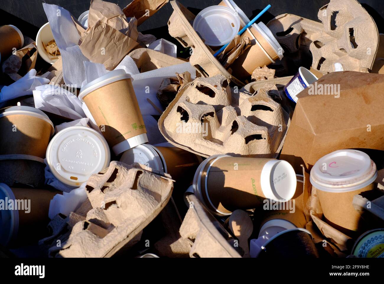 gobelets et supports en papier dans un bac de recyclage, norfolk, angleterre Banque D'Images