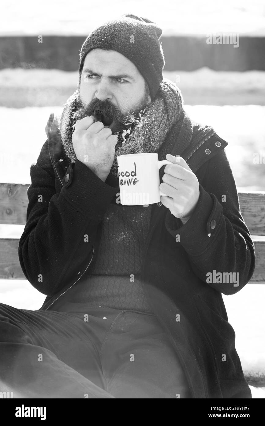 Grenouille, hipster barbu avec barbe et moustache recouvert de boissons blanches gelées de la tasse avec texte du matin assis sur un banc de bois sur neige Banque D'Images Grenouille, hipster barbu avec barbe et moustache recouvert de boissons blanches gelées de la tasse avec texte du matin assis sur un banc de bois sur neige Banque D'Images