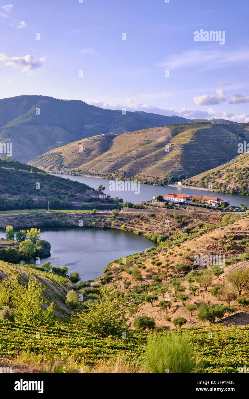 Rivière Douro et Quinta do Tedo avec ses vignobles en terrasse le long de la rivière Tedo, un affluent de la rivière Douro. Alto Douro, PATRIMOINE mondial de l'UNESCO S Banque D'Images