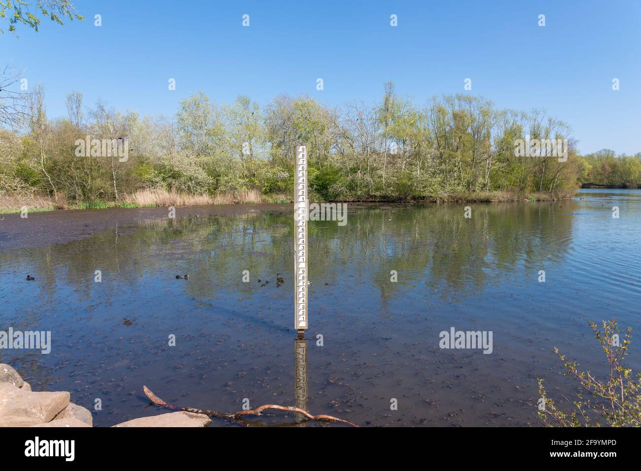 Sheepwash local nature Reserve à Sandwell, West Midlands, Royaume-Uni a été créé à partir de terres arides industrielles en 1981, la rivière Tame court à travers elle. Banque D'Images