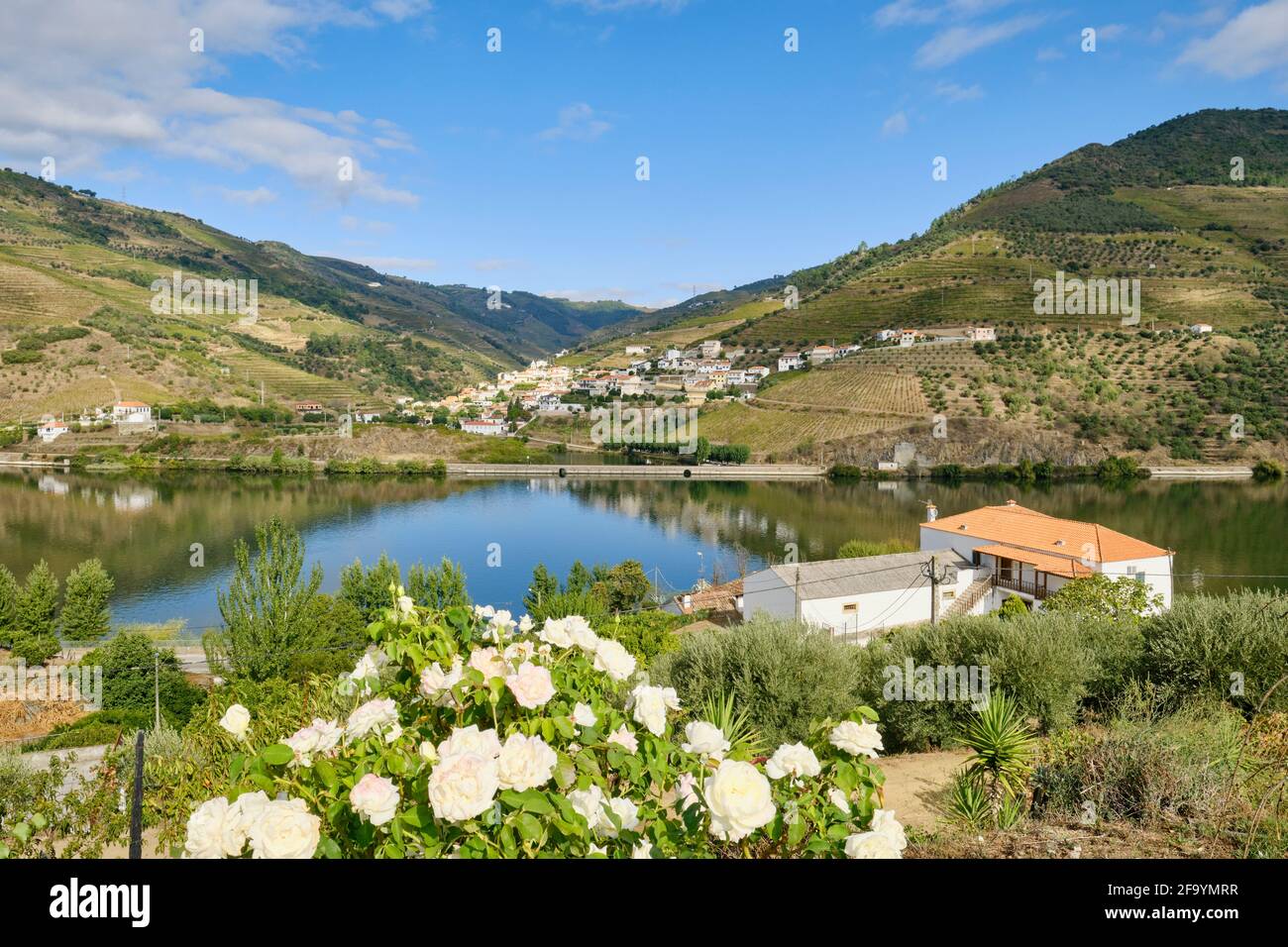 Folgosa do Douro. Le village de Covelinhas sur l'autre rive de la rivière. Alto Douro, site classé au patrimoine mondial de l'UNESCO. Portugal Banque D'Images