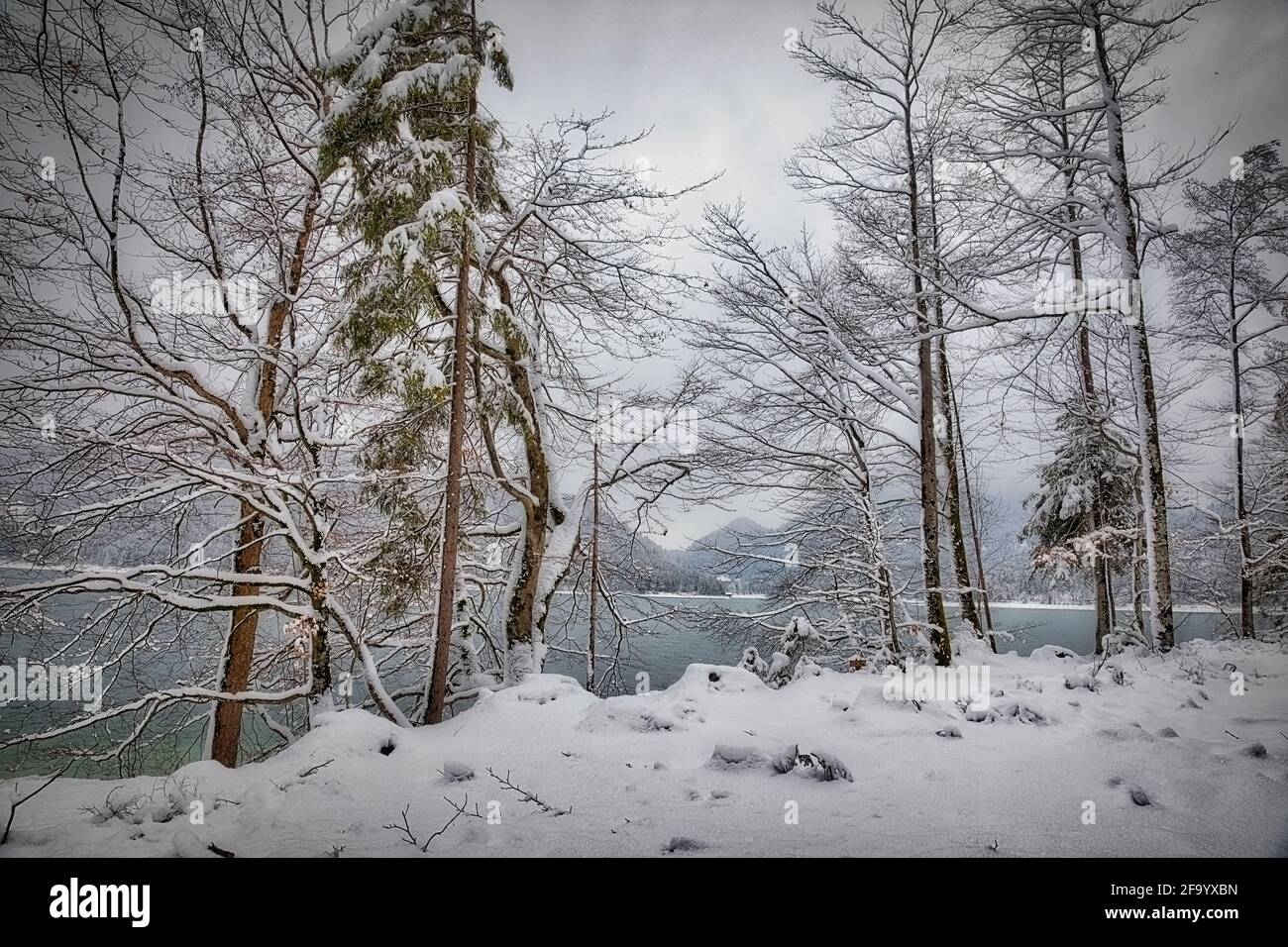 DE - BAVIÈRE: Scène d'hiver le long du lac Walchensee Banque D'Images