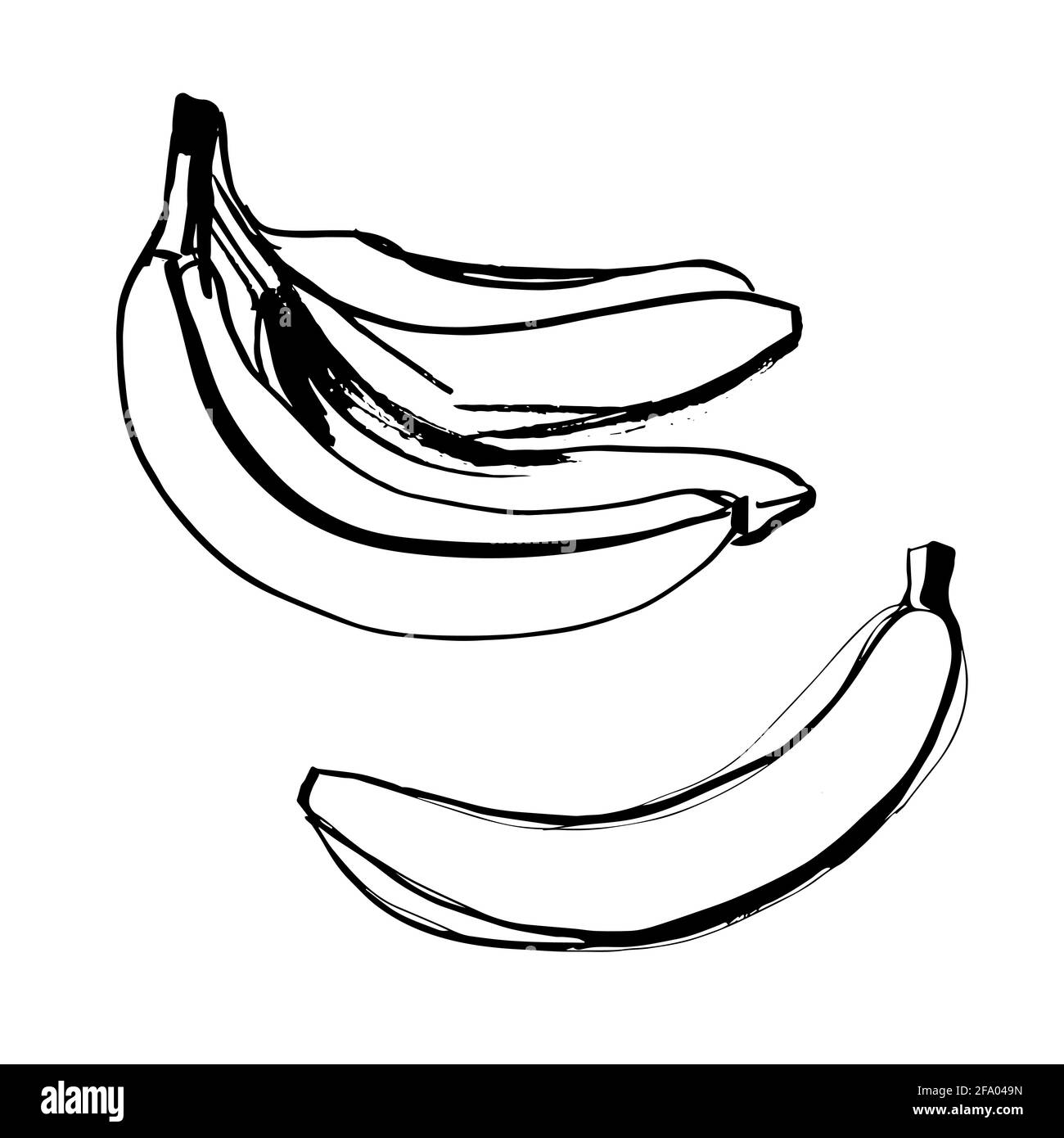 Illustration de fruits de banane en couleur noire de dessin au trait isolée sur arrière-plan blanc Illustration de Vecteur