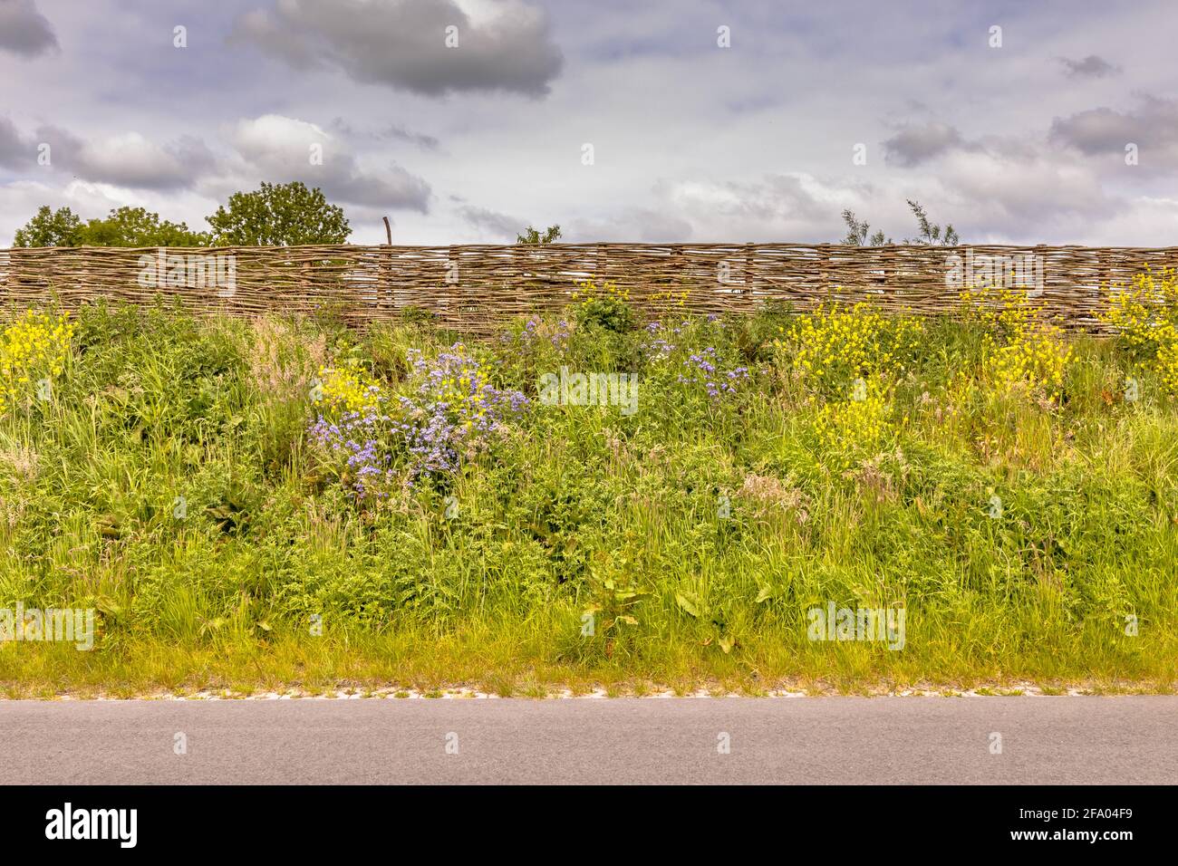 Barrière sonore écologique mur de terre avec clôture en osier des branches  de saule. Les fleurs et les arbres poussent sur la digue avec de la  végétation. Pays-Bas Photo Stock - Alamy