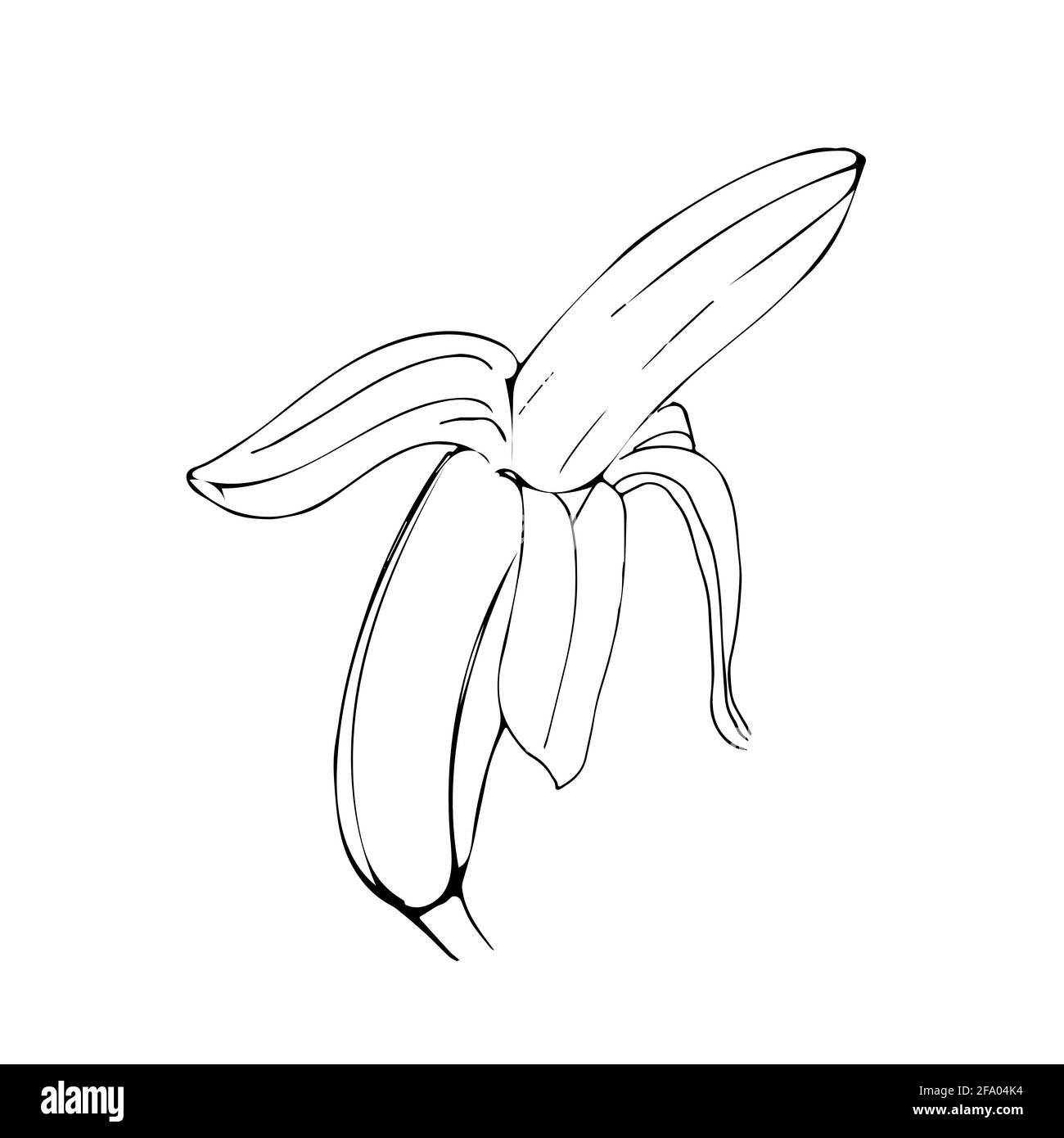 Illustration de fruits de banane en couleur noire de dessin au trait isolée sur arrière-plan blanc Illustration de Vecteur