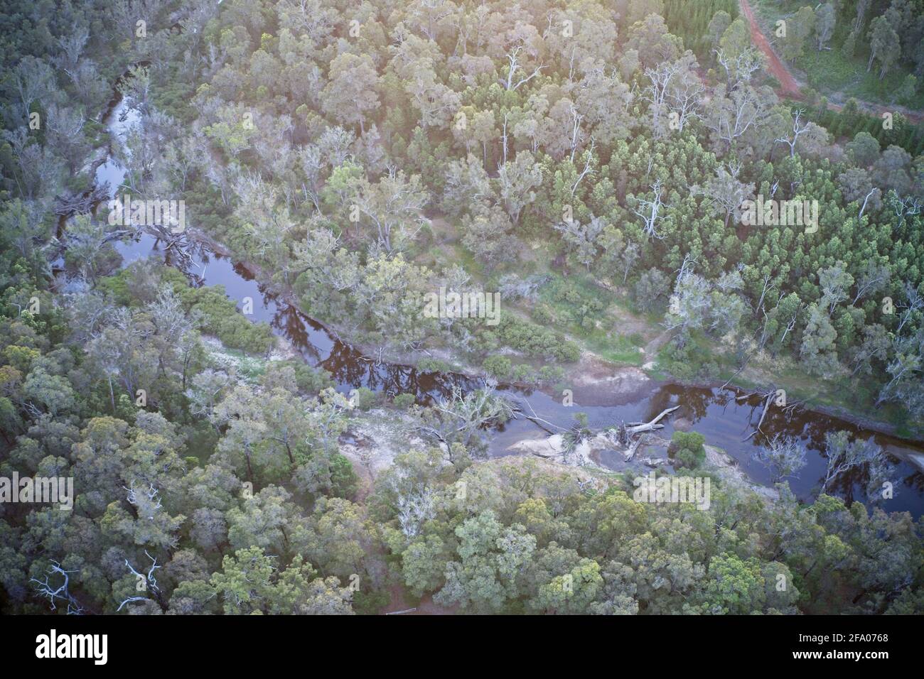 Vue de drone sur la rivière qui serpente à travers la forêt de Balingup, Australie occidentale. Banque D'Images