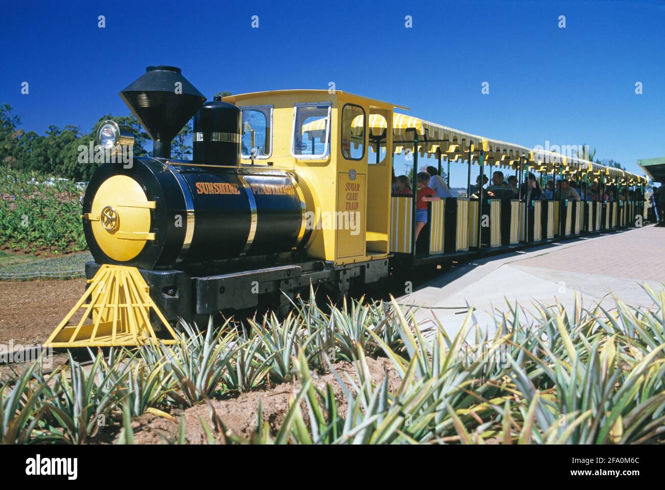 Australie. Queensland. Sunshine Coast. Train de canne à sucre à la gare de Big Pineapple Sunshine Plantation. Banque D'Images