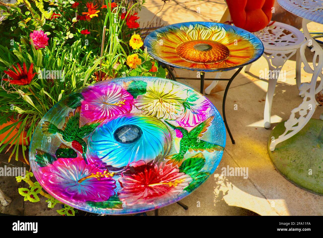 Fleurs de jardin par une lumière du soleil Banque D'Images