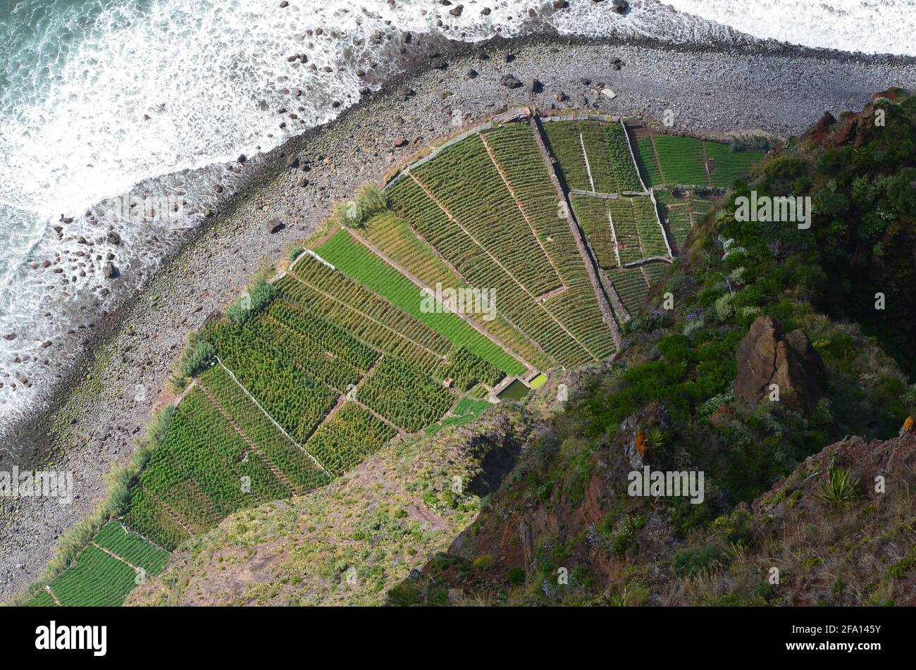 Cabo Girao, sur l’île de Madère, l’une des falaises les plus hautes d’Europe Banque D'Images