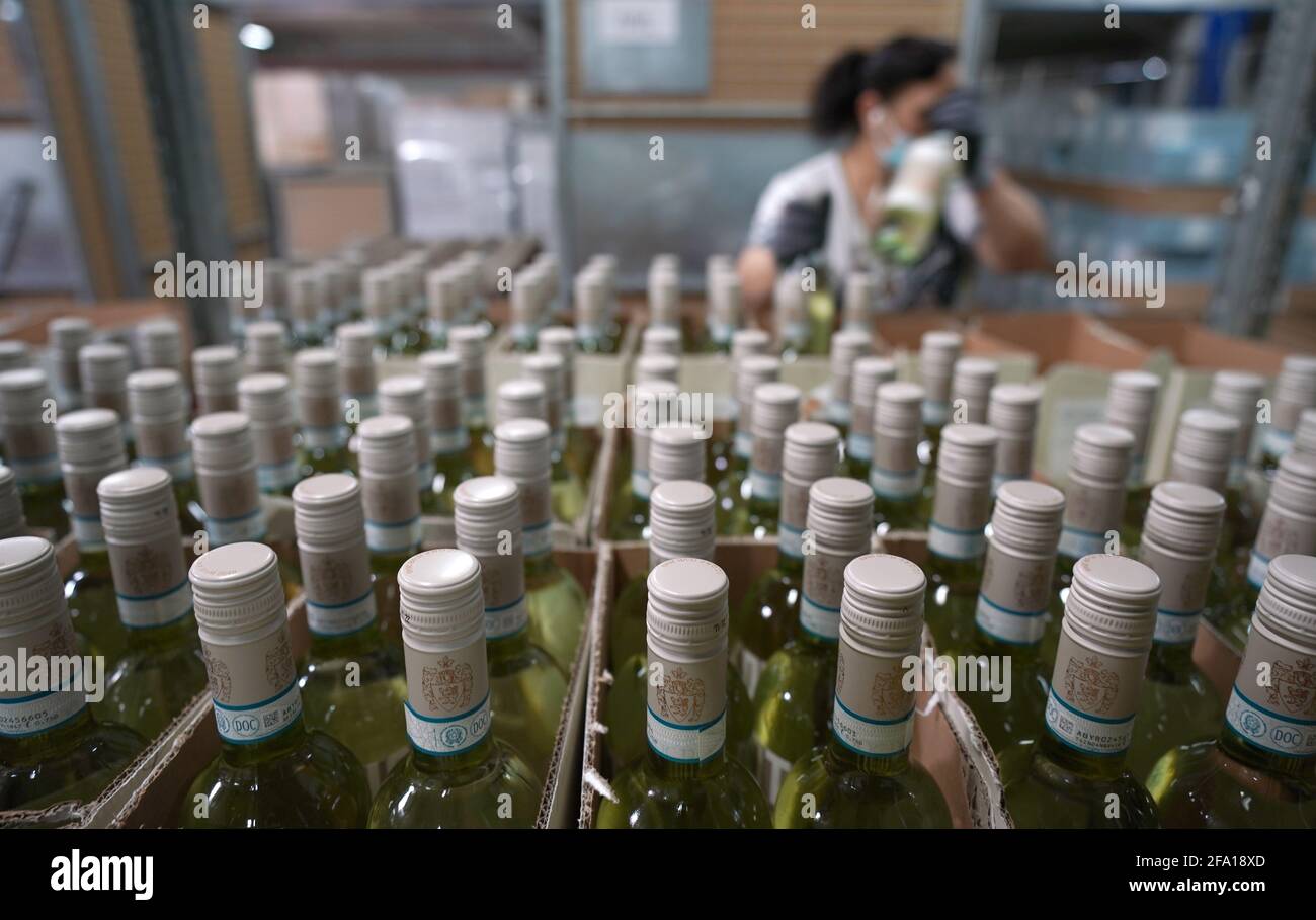 Tornesch, Allemagne. 21 avril 2021. Un employé emboîte des bouteilles de vin dans des boîtes au centre logistique IWL (International Wine Logistics) du marchand de vin Hawesko. La société se considère comme le plus grand groupe commercial de vins d'Europe et, selon les chiffres provisoires, a enregistré une augmentation de douze pour cent des ventes en 2020. Credit: Marcus Brandt/dpa/Alay Live News Banque D'Images