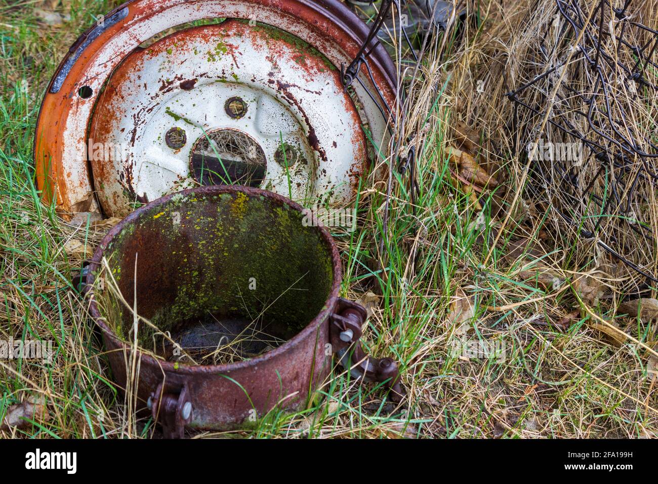 Le réservoir d'un pulvérisateur de peinture antique, une jante métallique et un rouleau de fil ancien dépassent de la pluie printanière humide herbe verte. Banque D'Images