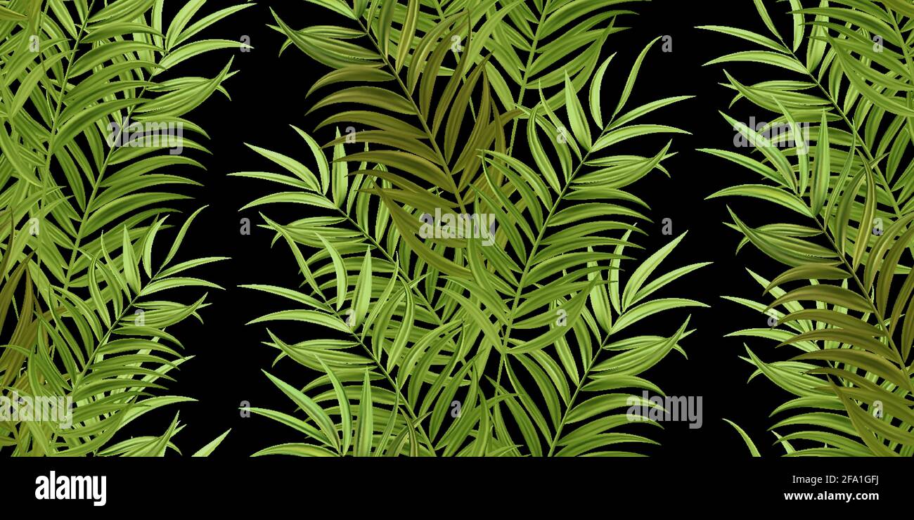 Feuilles de palmier tropical jungle, laisse une impression de fond floral vectoriel continu Illustration de Vecteur