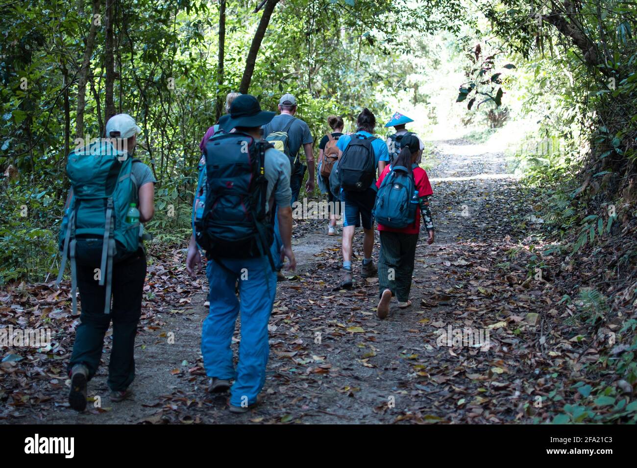 État de Shan, Myanmar - janvier 5 2020 : une randonnée touristique de groupe de par la forêt luxuriante de Kalaw à Inle Lake Banque D'Images