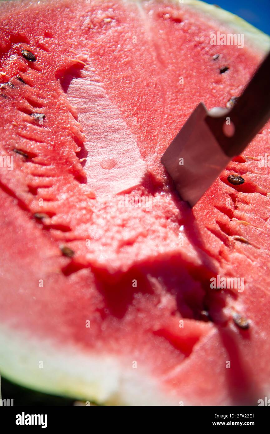 Un melon d'eau rouge et un couteau coincé dans un gros plan de melon d'eau.  Foyer sélectif.le concept de fruits de vitamine sains Photo Stock - Alamy