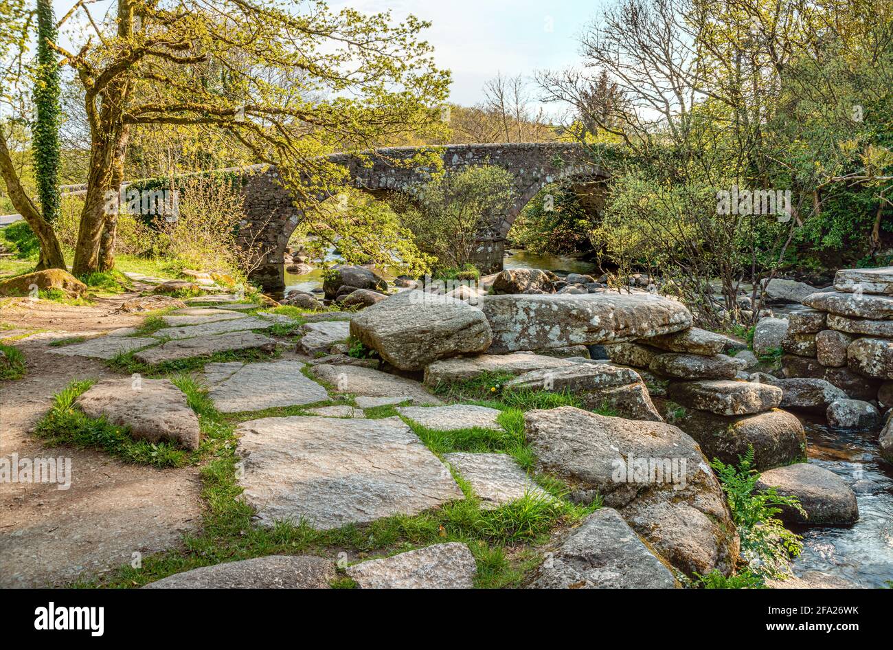 Cherry Brook River at the Castles in the Dart Valley, parc national de Dartmoor, Devon, Angleterre, Royaume-Uni Banque D'Images