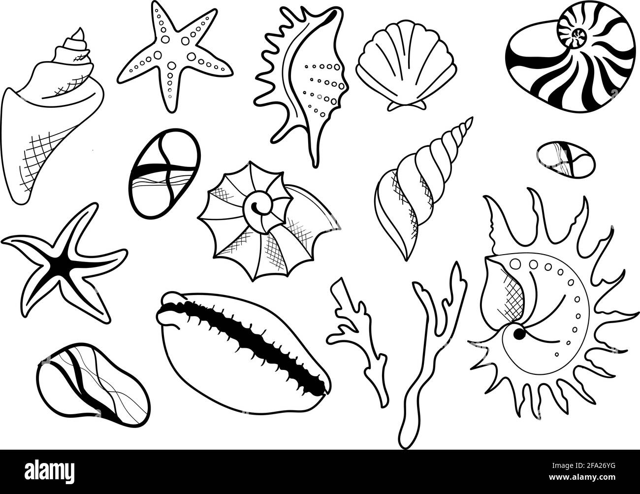 Coquillages dessinés à la main. Ensemble d'algues, pierres, coquillages Illustration de Vecteur