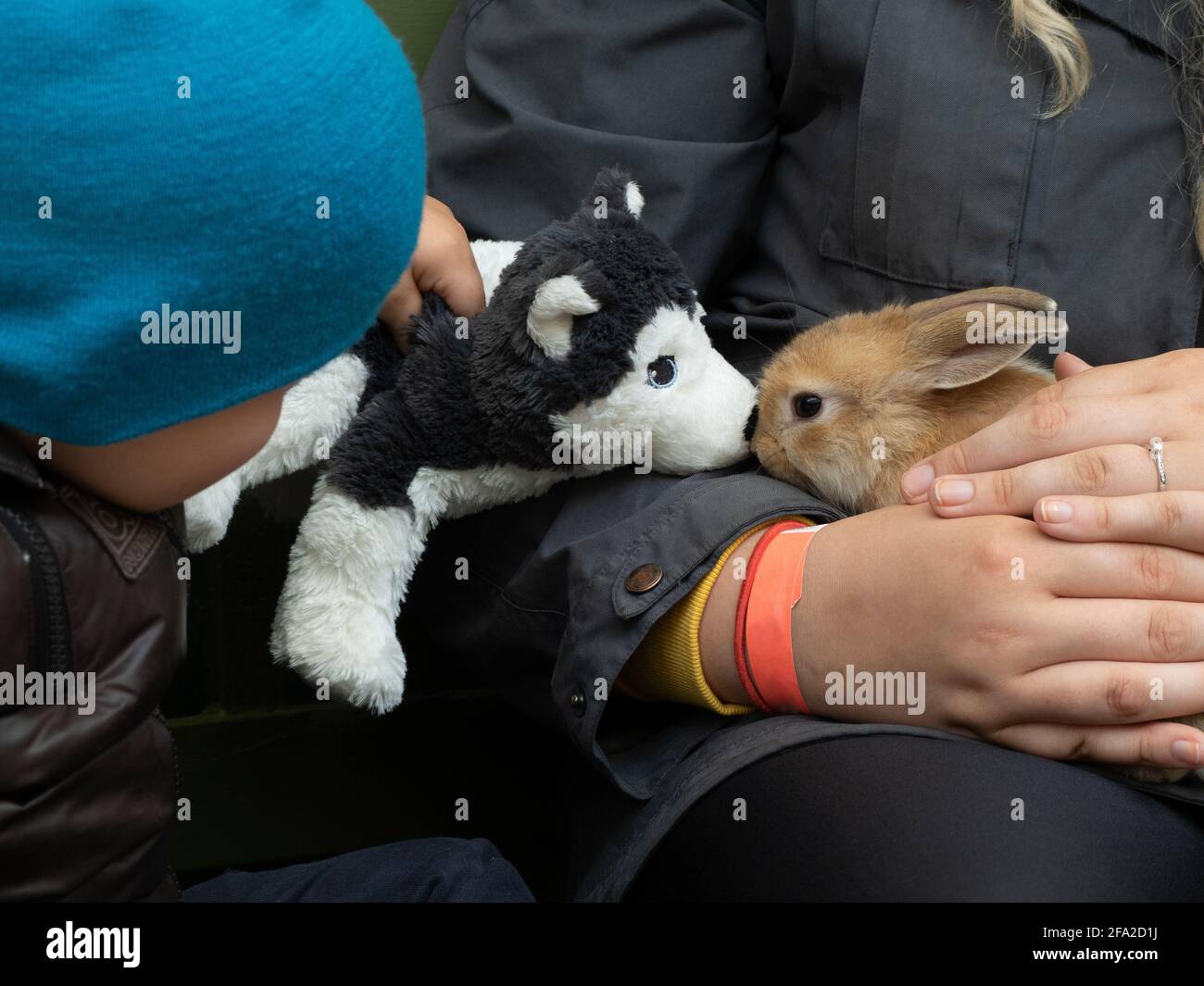 Un garçon jouant avec un chien en peluche et un un lapin pour animaux dans un zoo pour enfants avec une mère qui tient le bébé lapin Banque D'Images