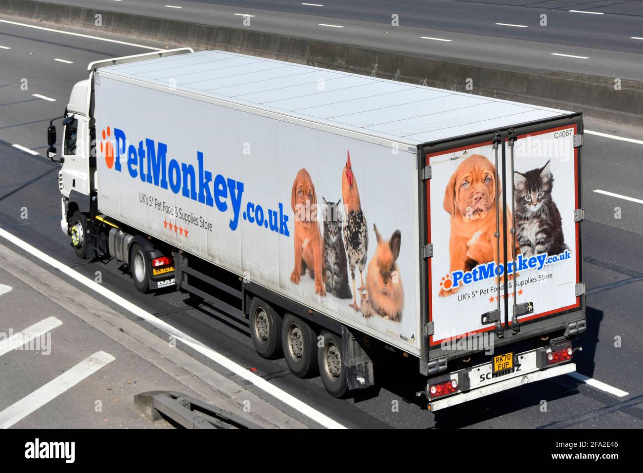 Vue latérale arrière et supérieure du camion et de la remorque Graphique publicitaire pour PetMonkey commerce de détail en ligne une nourriture pour animaux de compagnie Et fournisseur d'accessoires Angleterre Royaume-Uni Banque D'Images