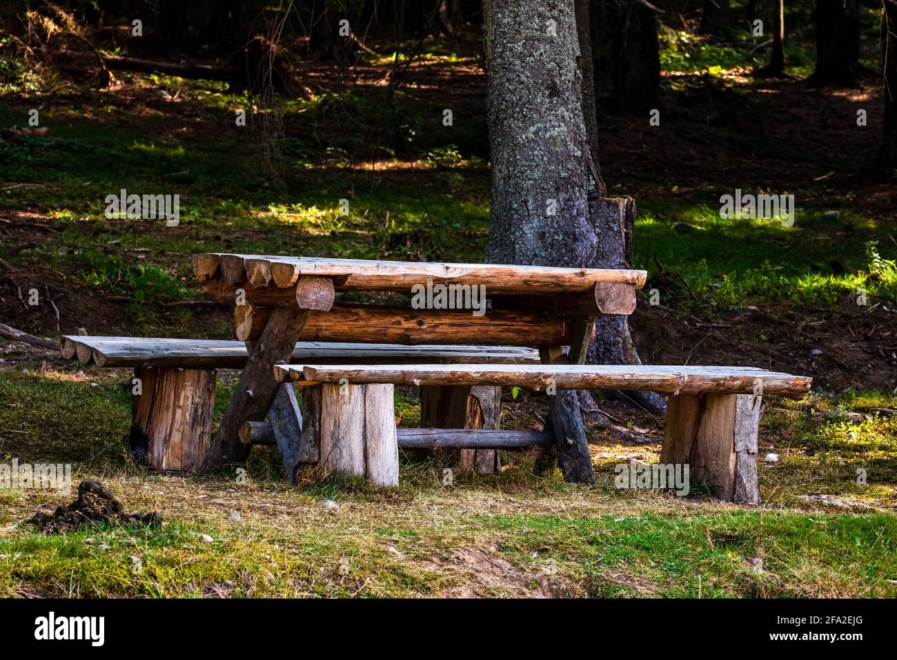Table et banc de meubles en bois dans une forêt de montagne Photo Stock -  Alamy