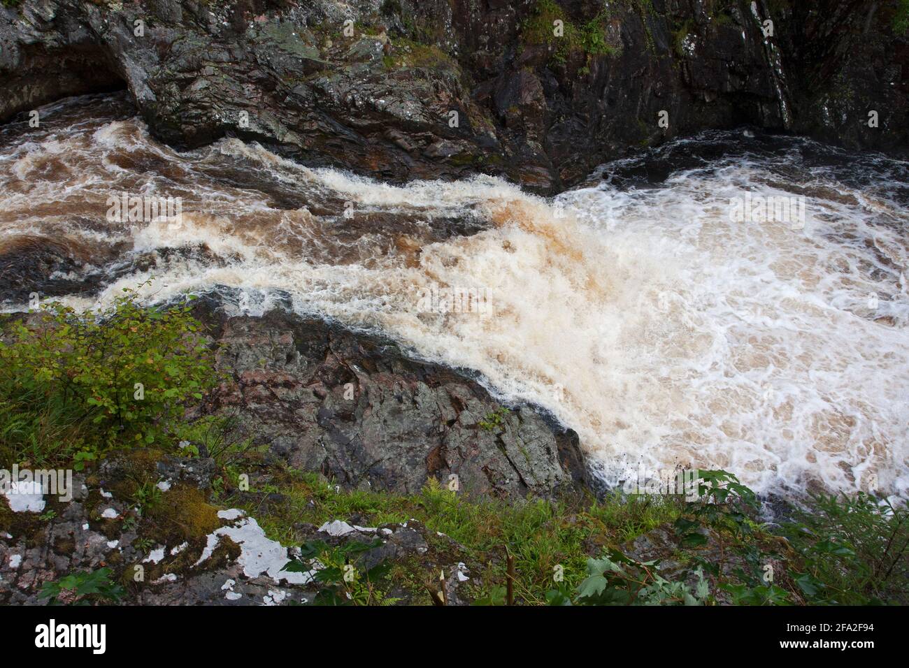 Rapides d'eau blanche sur la rivière Salmon, Falls of Shin, Sutherland, Écosse, Royaume-Uni. Banque D'Images