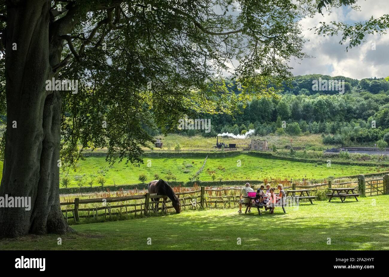 Pique-nique en famille à la campagne Banque D'Images